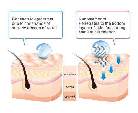 Monobacterial Bio-CNF Membrane - 嬌朋生技股份有限公司